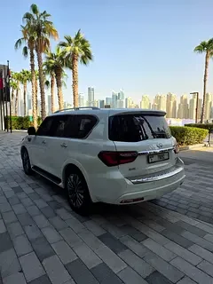 Infiniti QX80