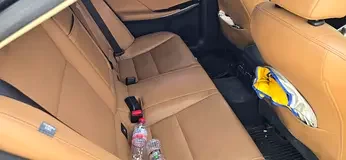 Lexus IS-Series