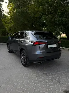 Lexus NX-Series