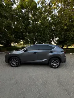 Lexus NX-Series