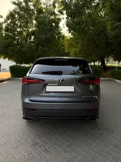 Lexus NX-Series