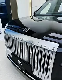 Zeekr 9X