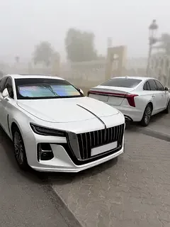 Hongqi Ousado