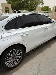 Hongqi Ousado