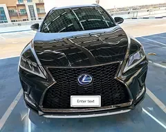 Lexus RX-Series