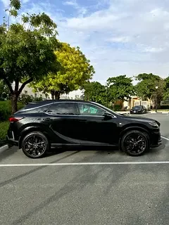 Lexus RX-Series