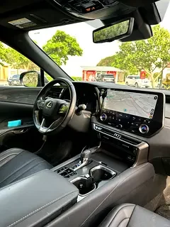 Lexus RX-Series