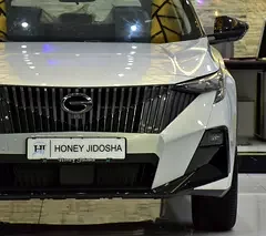 GAC EMZOOM