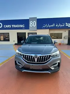 Brilliance V6