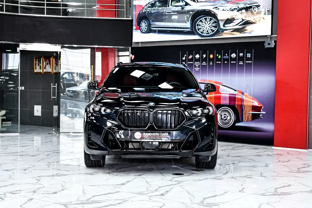 BMW X6