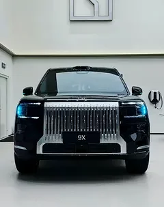 Zeekr 9X