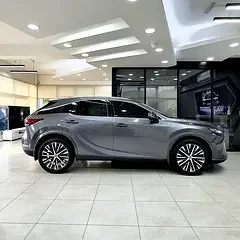 Lexus RX-Series