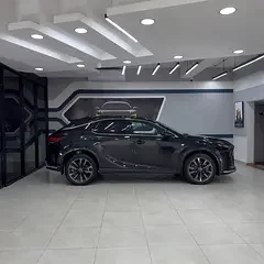 Lexus RX-Series