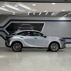 Lexus RX-Series