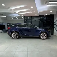 Lexus RX-Series