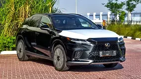 Lexus RX-Series