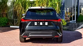 Lexus RX-Series