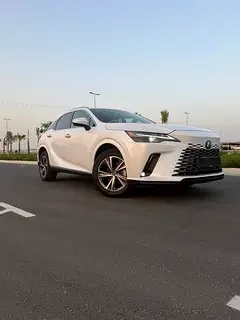 Lexus RX-Series
