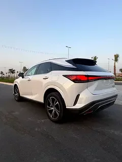 Lexus RX-Series