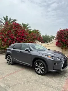 Lexus RX-Series