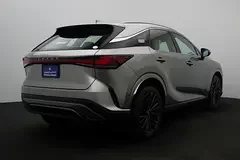 Lexus RX-Series