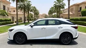 Lexus RX-Series