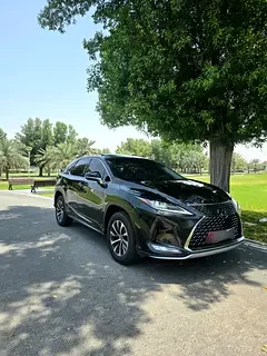 Lexus RX-Series