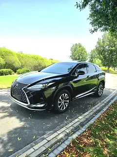 Lexus RX-Series