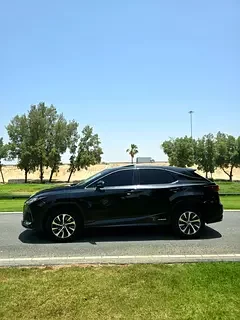 Lexus RX-Series
