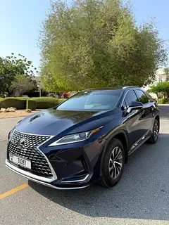 Lexus RX-Series