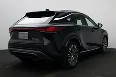 Lexus RX-Series