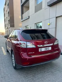 Lexus RX-Series
