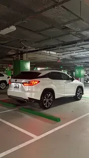 Lexus RX-Series