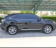 Lexus RX-Series