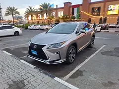 Lexus RX-Series