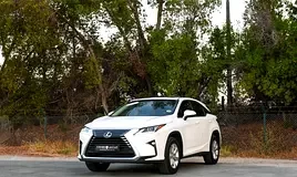 Lexus RX-Series
