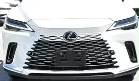 Lexus RX-Series