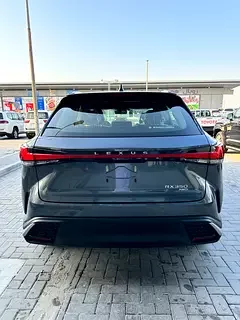 Lexus RX-Series
