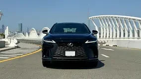 Lexus RX-Series