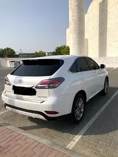 Lexus RX-Series
