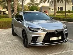 Lexus RX-Series