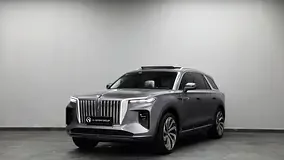 Hongqi E-HS9