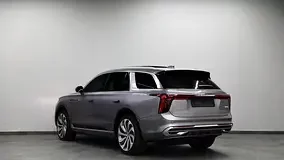 Hongqi E-HS9