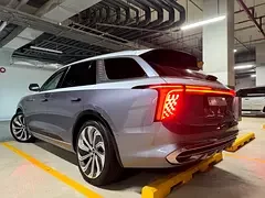 Hongqi E-HS9