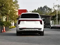 Hongqi E-HS9