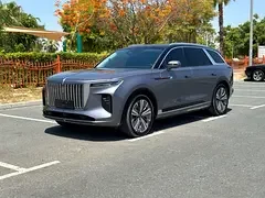 Hongqi E-HS9