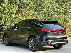 Lexus RX-Series