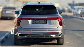 Hongqi E-HS9