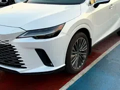 Lexus RX-Series