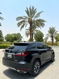 Lexus RX-Series